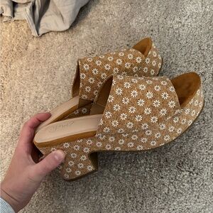 Daisy wedges 🌼